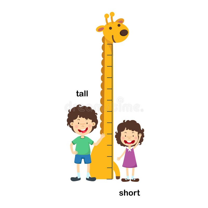 Tall Short Person Stock Illustrations – 350 Tall Short Person