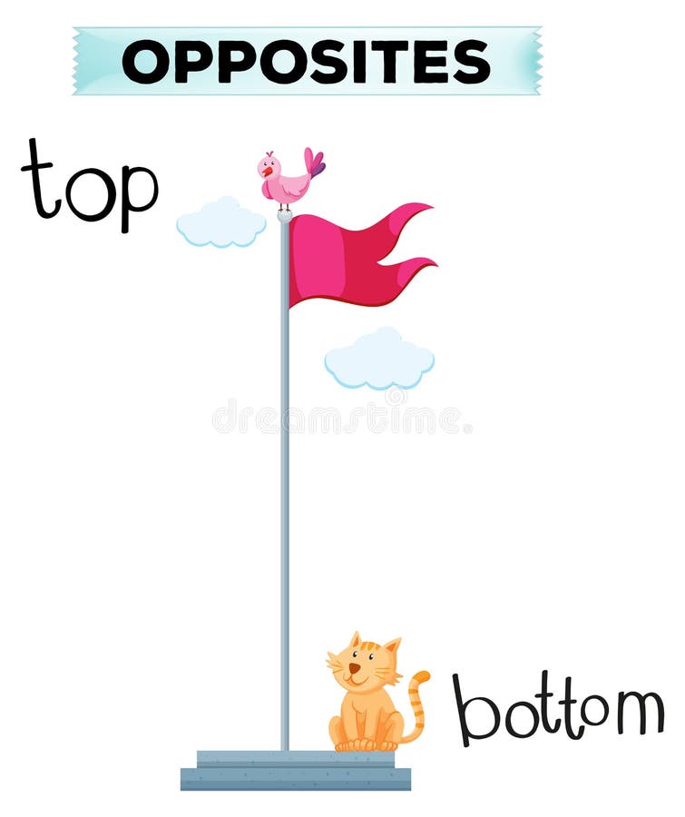 Opposite Word for Top and Bottom Stock Vector Illustration of bottom