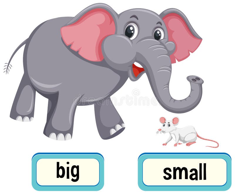 Opposite wordcard for big and small illustration Stock Photo - Alamy