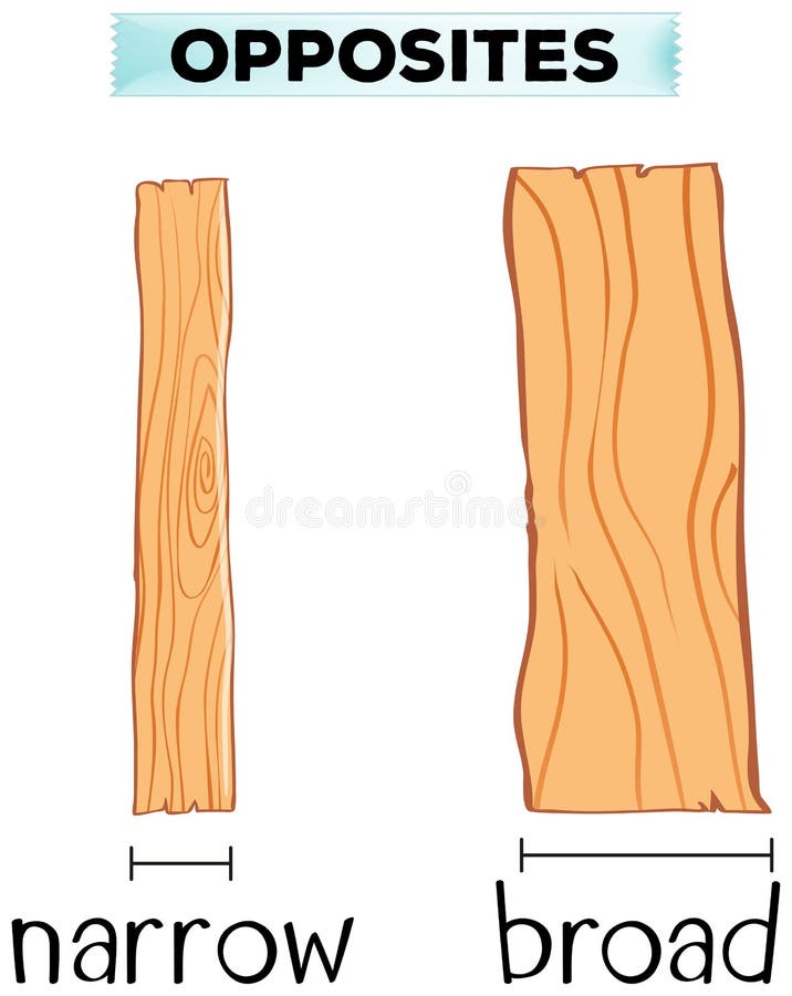 Opposite Words for Narrow and Broad Stock Vector Illustration of