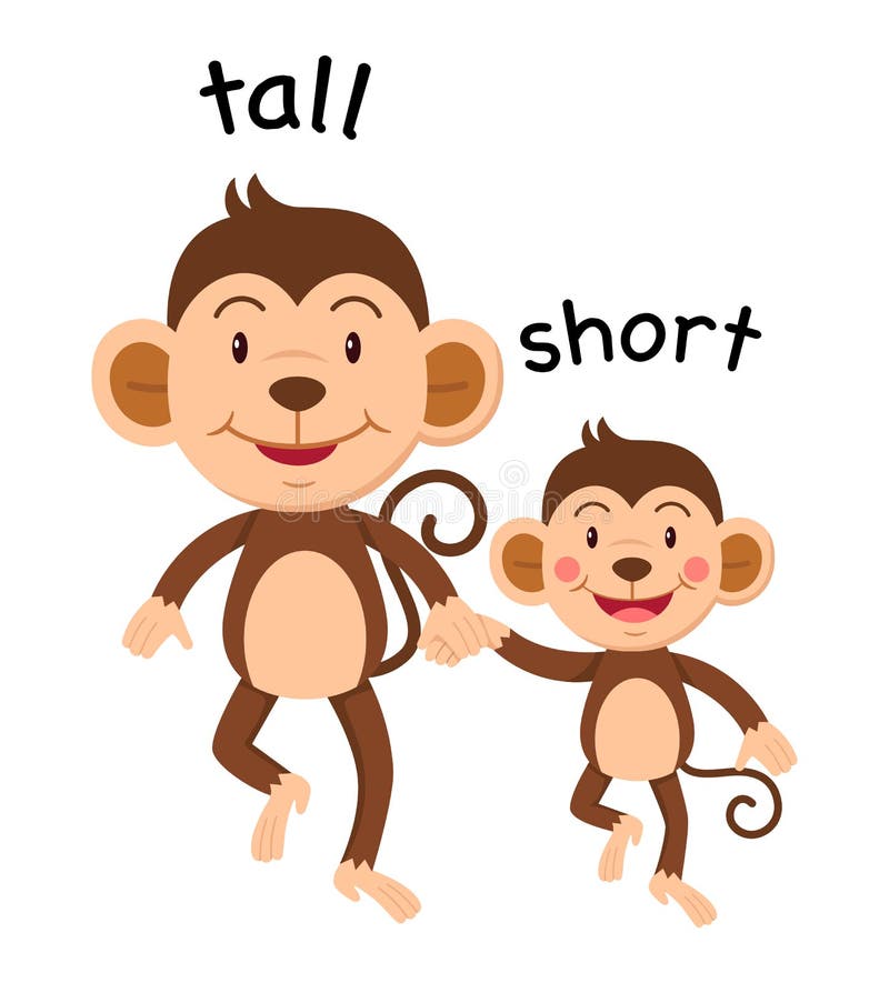 Opposite Words Tall and Short Stock Vector - Illustration of clipart