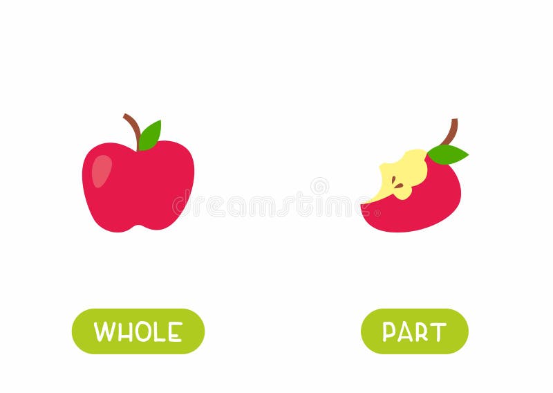 https://thumbs.dreamstime.com/b/opposites-whole-part-words-educational-english-memo-card-antonyms-flat-vector-template-kids-cards-foreign-language-182236985.jpg