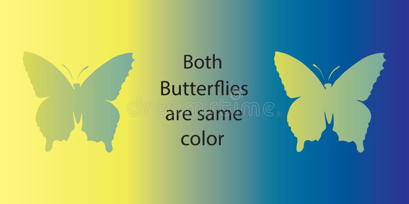 What was  PsychoDelic Butterfly Tattoos  Body Piercings  Facebook