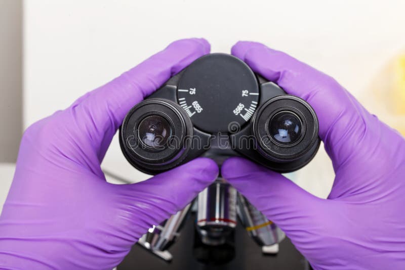 Optisk lins för laboratoriummikroskop fotografering för bildbyråer
