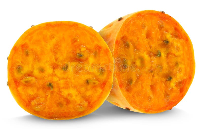 Opuntia indica obraz stock Opuntia indica obraz stock