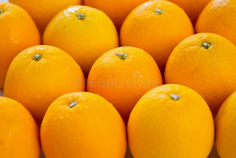 Oranges Organised Stock Photos Free & RoyaltyFree Stock Photos from