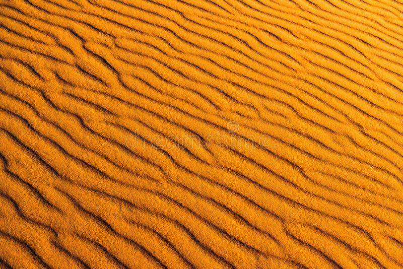 Orange bakgrund för dynvågmodell av Sahara Desert, Merzouga, Marocko, Afrika arkivbilder Orange bakgrund för dynvågmodell av Sahara Desert, Merzouga, Marocko, Afrika arkivbilder