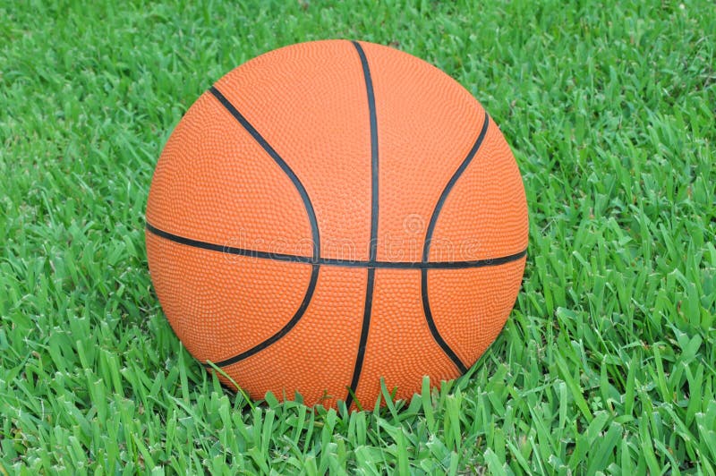 Orange Basketball Royalty Free Stock Images Image 10429489