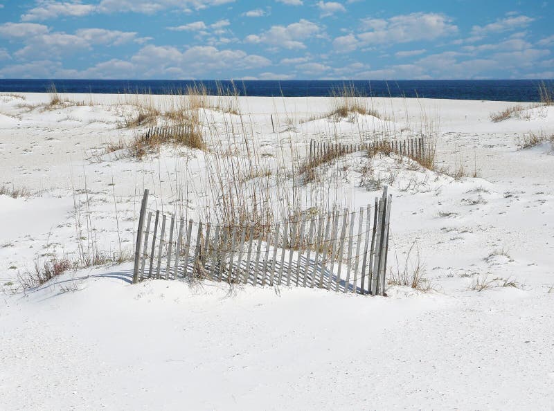 Orange Beach and Dunes stock image. Image of dunes, water - 245948861