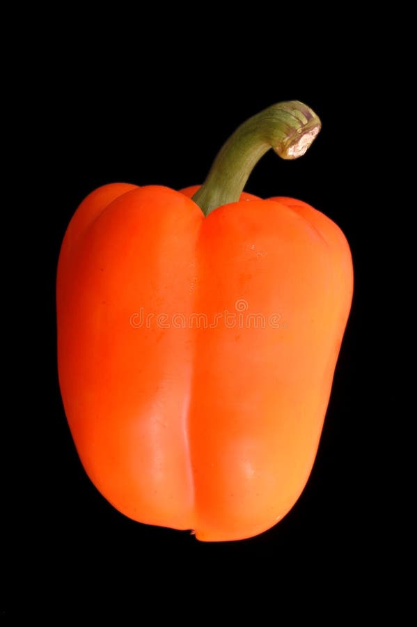 Orange Bell Pepper