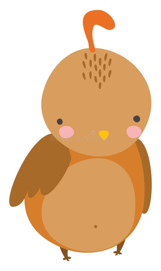 Orange bird, illustration, vector vector illustration