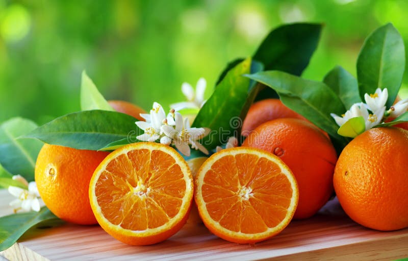 Orange blommafrukter fotografering för bildbyråer