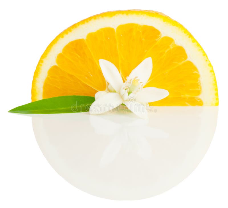 Orange and flower growing stock photo. Image of leaf 24342992