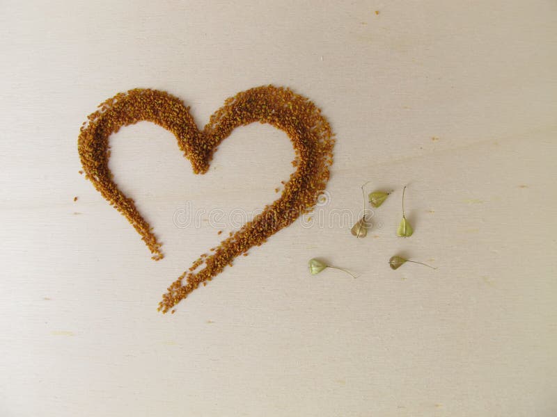 Orange blossom tea stock image. Image of orange, aurantii 163858351