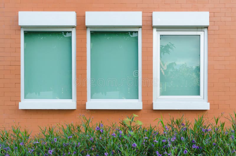 Orange Brick Wall Windows Little Plant Flower Stock Photos Free