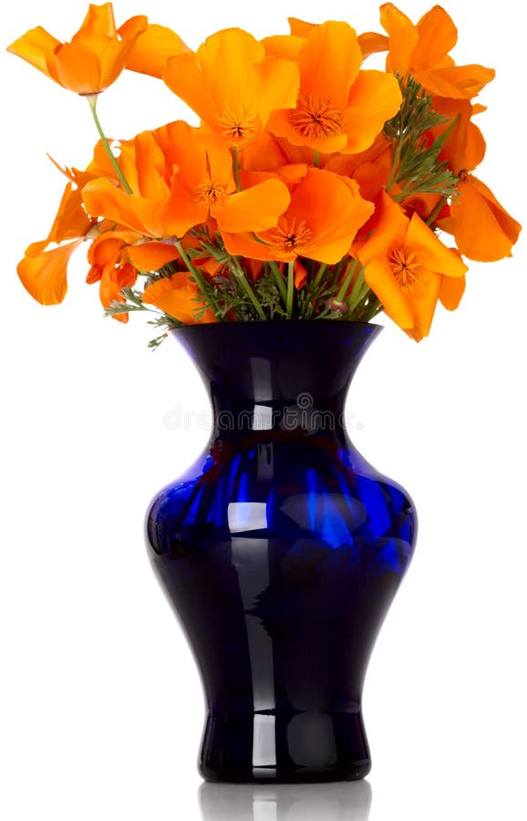 Hydrangeas in vase stock image. Image of water, blue, flora 460737