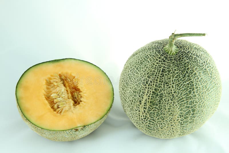 Cantaloupe melon stock photo. Image of summer, sweet 16280684