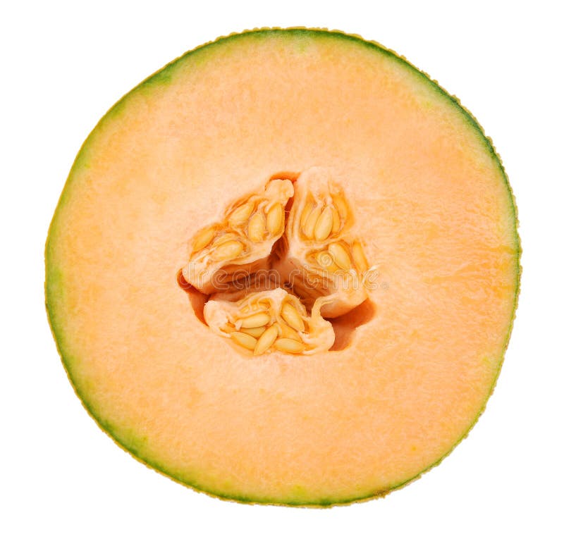 Orange cantaloupe melon stock photo. Image of health 29962534