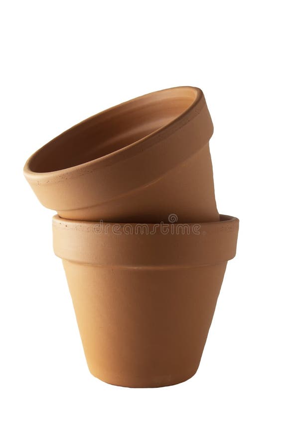 Orange Ceramic Flower Pot with Small Freshly Blooming Rose with White