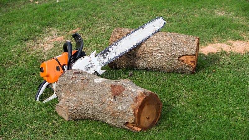 520 Stihl Chainsaw Images, Stock Photos, 3D objects, & Vectors