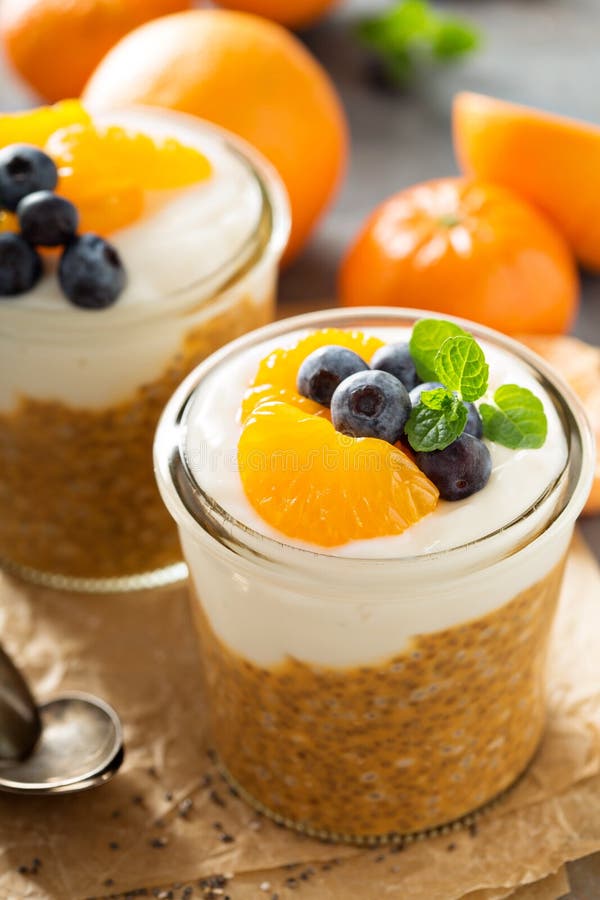 Orange Chia Pudding with Coconut Yogurt Stock Photo Image of cuisine, breakfast 84749052
