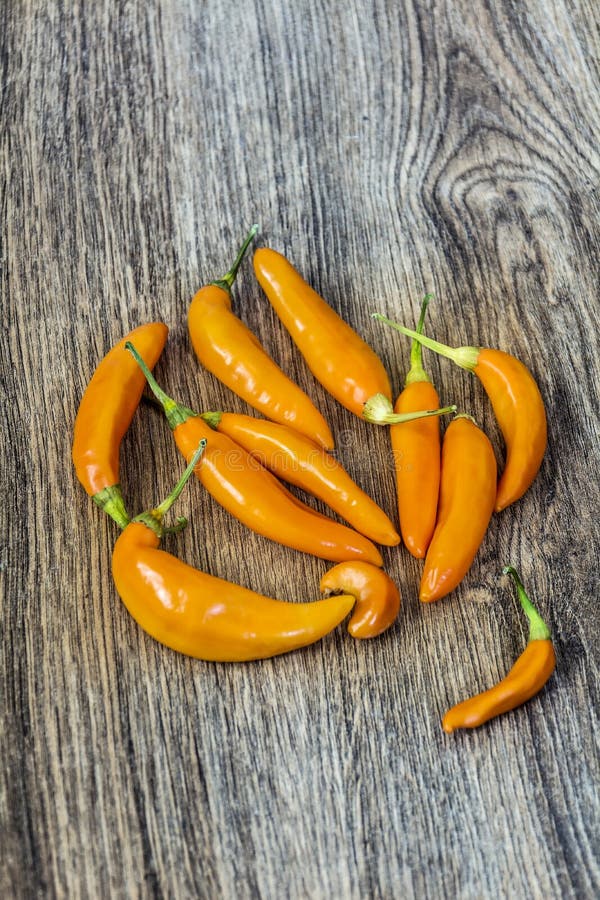 Orange chili pepper stock image. Image of peppers, flavor 87299727