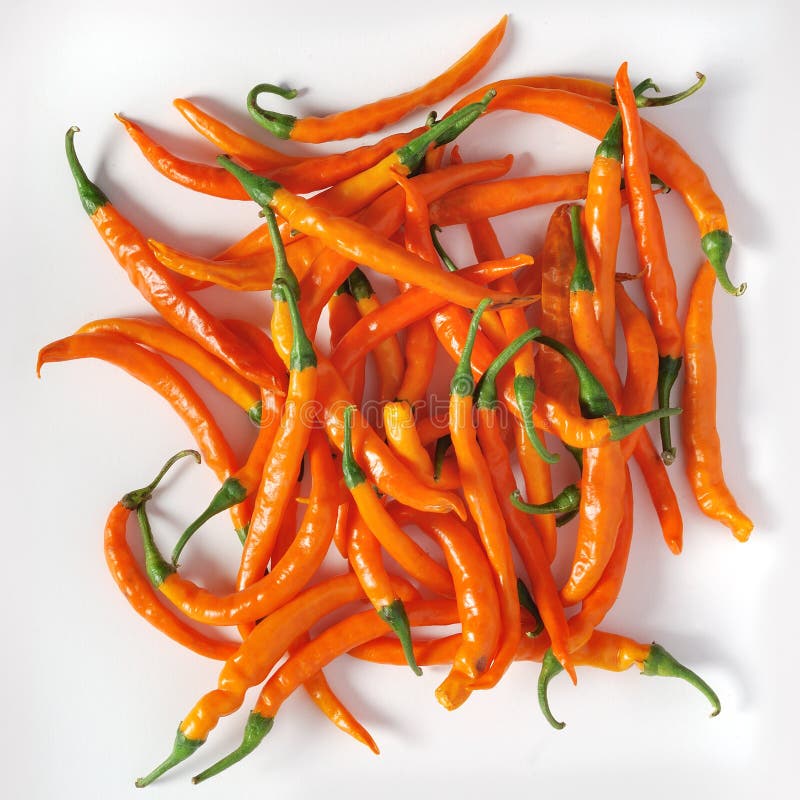 Orange chili peppers stock image. Image of spicy, fruit 6863817