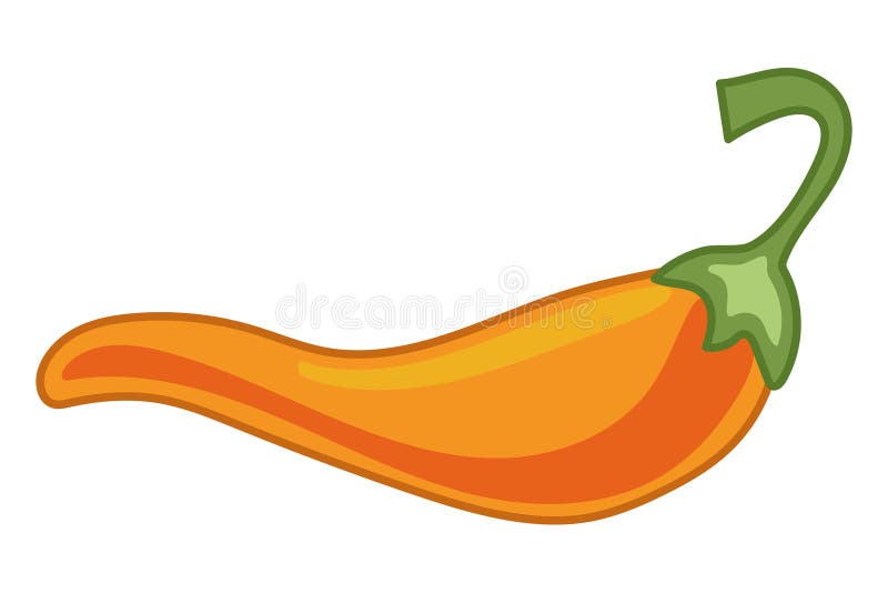 Orange Chilli Pepper Illustration Stock Illustration Illustration of