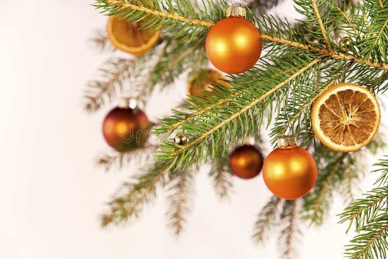 Orange Christmas Balls on a Branch Stock Photo Image of hanging, ball