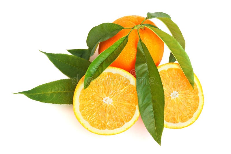 Orange citrus