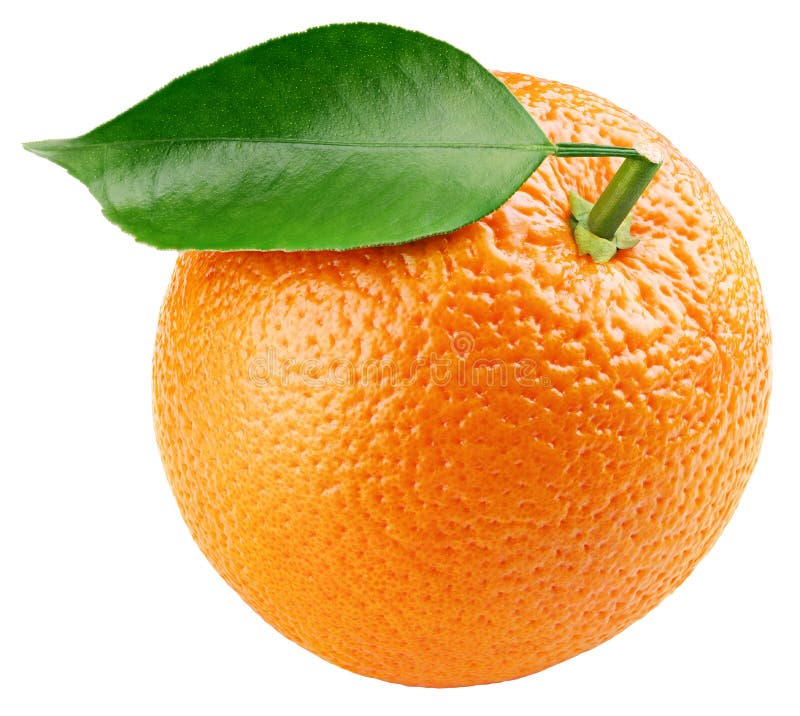 Orange citrusfrukt med bladet som isoleras på vit arkivbild Orange citrusfrukt med bladet som isoleras på vit arkivbild