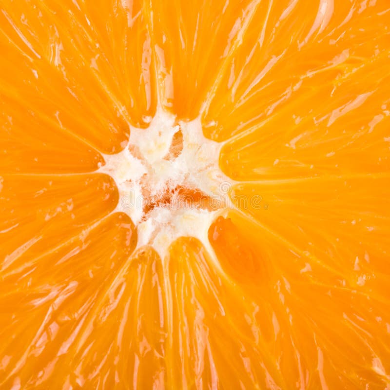 Orange close up stock photo. Image of close, bright, healthy 5318172