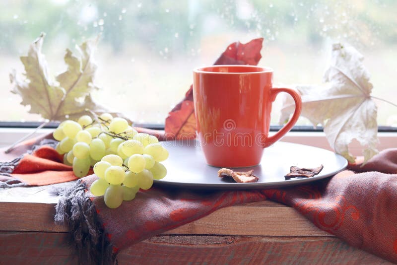 Orange cup with a drink on the background of a window, behind which rain, fruits, a warm scarf, leaves. Autumn season, the concept of home comfort royalty free stock photography Orange cup with a drink on the background of a window, behind which rain, fruits, a warm scarf, leaves. Autumn season, the concept of home comfort royalty free stock photography
