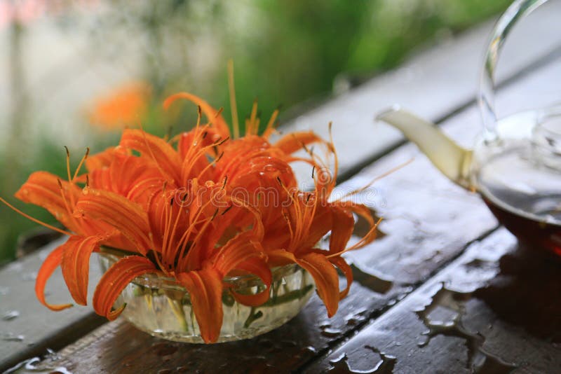 Maceta de naranja azucena flores tetera sobre el mesa.