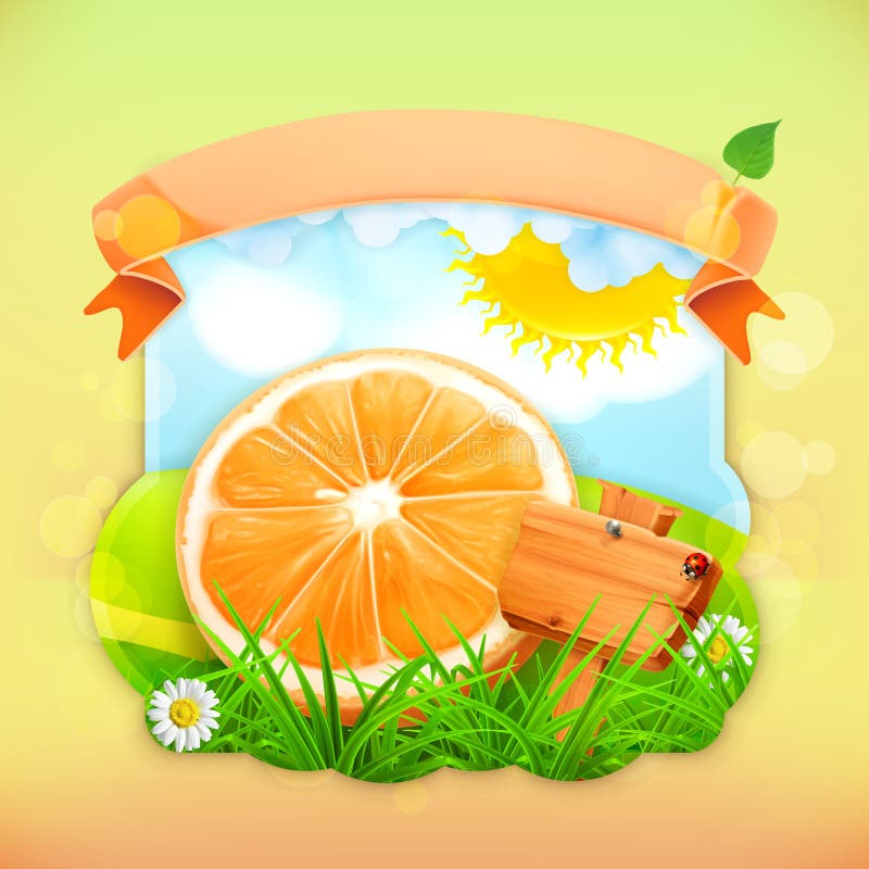 Orange de label de fruit frais illustration de vecteur Orange de label de fruit frais illustration de vecteur