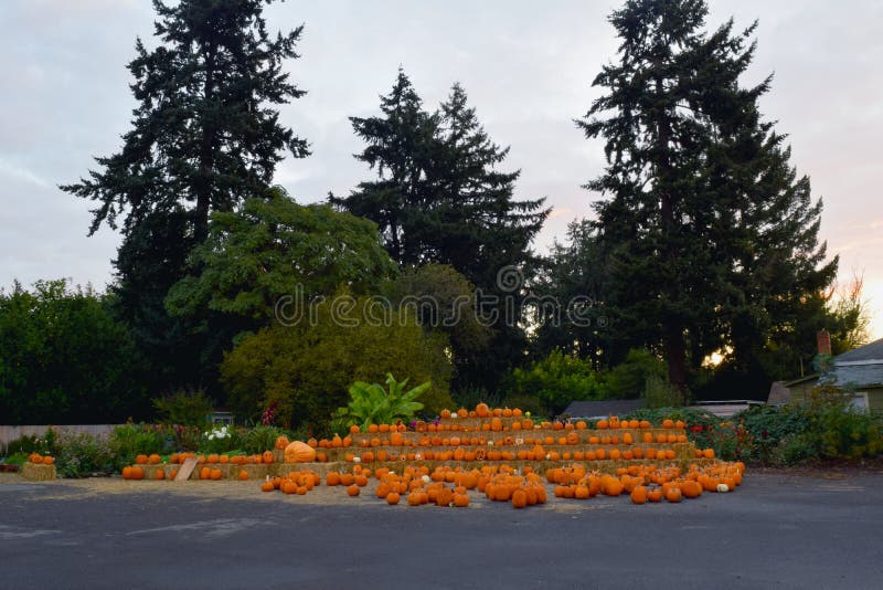 Orange pumpkin sit with other squashes on haystacks at urban pumpkin patch. Orange pumpkin sit with other squashes on haystacks at urban pumpkin patch