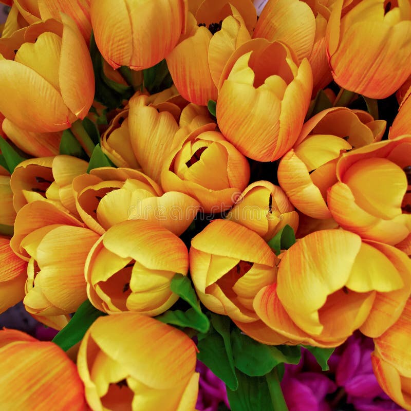 Orange Fake Rose Flower Closeup Stock Image Image of orange, flower