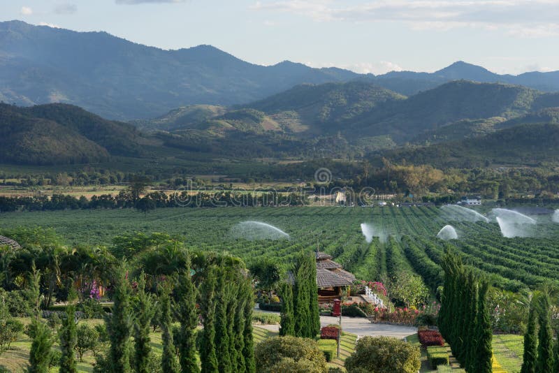 Orange Farm Orange Park stock photo. Image of agriculture 64523410