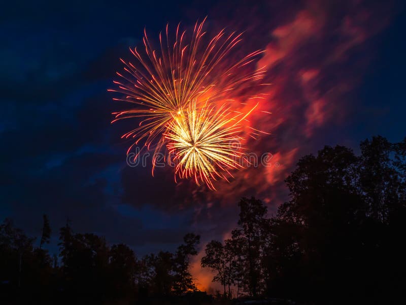 Orange fireworks exploding over trees royalty free stock photos