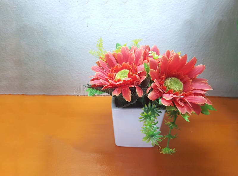 Orange Flowers and the Gray Wall Stock Photo Image of wall, orange 117466648