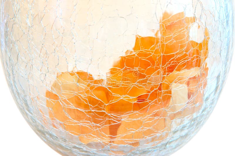 Orange flowers petals on cracked glass vase.