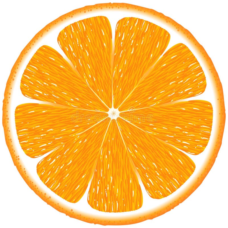 Eine orange Frucht-Scheibe vektor abbildung. Illustration von saftig