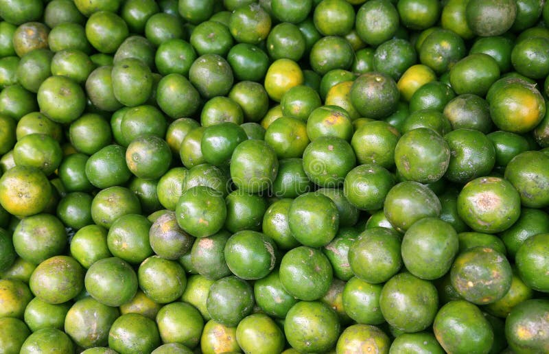 Orange fruit stock photo. Image of spherical, delicious 12967106