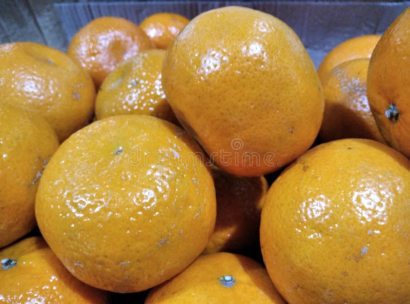 An orange fruit stock photo. Image of orange, fruit 206057286