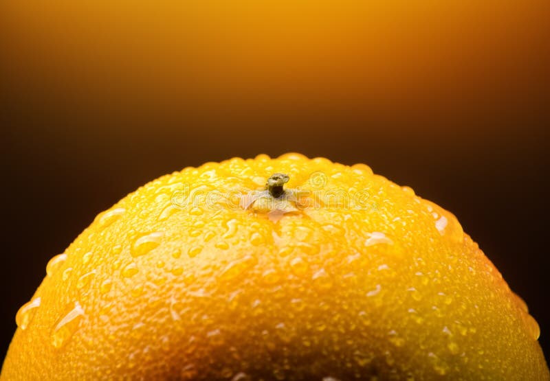 Orange fruit