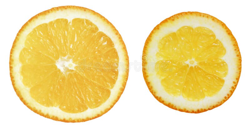 Round Orange Slice Isolate on the White Stock Image - Image of round ...