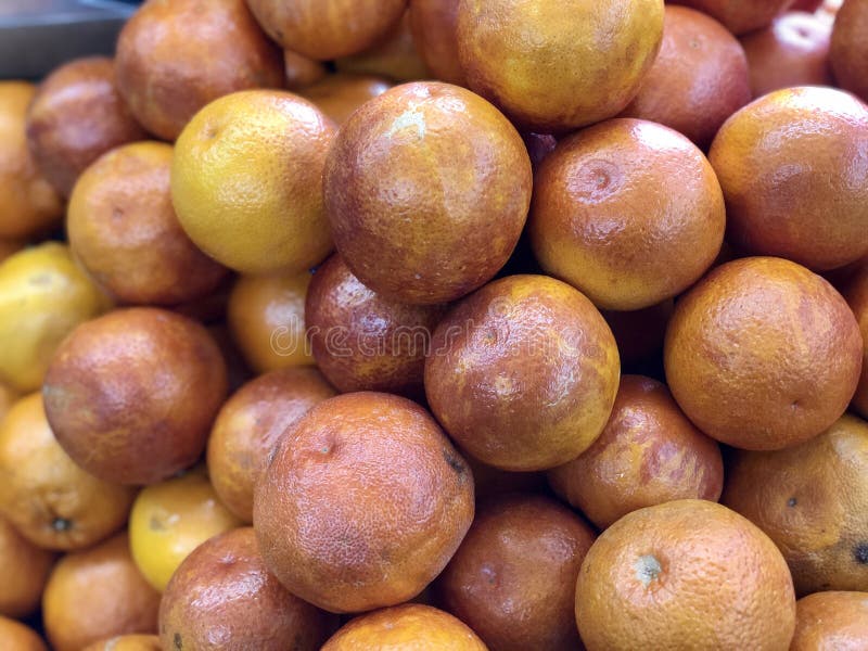 Fresh Orange Fruit Orange is an Important Citrus Fruit As Vitamin C