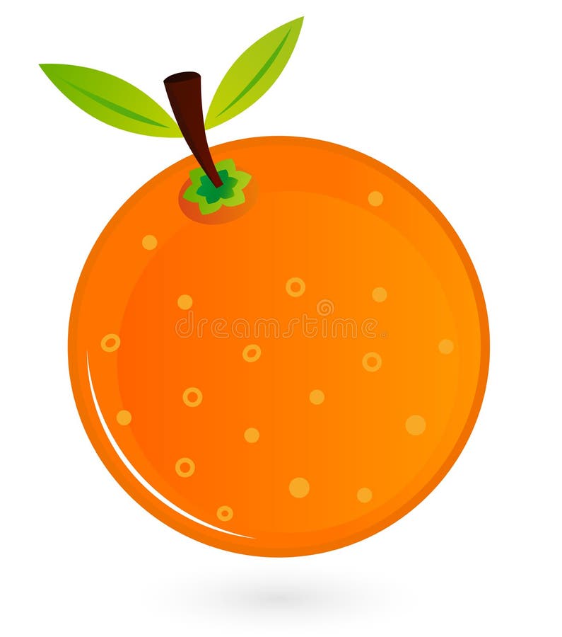 Orange fruit isolated on white stock illustration