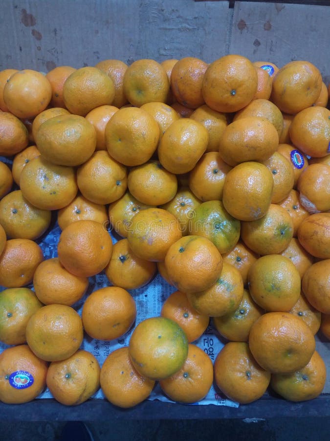 Orange fruit at market stock image. Image of dish, yellow 224706475