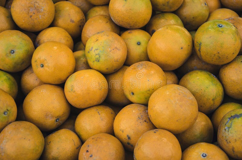 Orange Fruit Pastel stock image. Image of closeup, creative 107337537